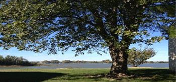 Beautiful Ohio River views with our Townhomes
